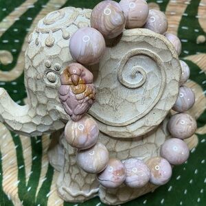 Mango Alashan 13mm with Alashan Parrot